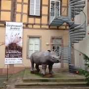 Rhinocéros laineux, réalisé en 1993 pour l'exposition temporaire "Glagla! L'Alsace au temps des premiers alsaciens"