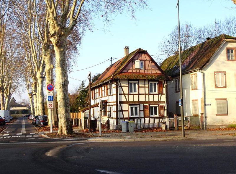 Fichier:5 r Carpe Haute, Strasbourg, 2019, vue à distance.jpg