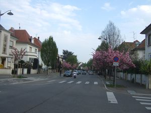 Rue du Général Offenstein Strasbourg 22839.jpg