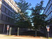 vue sur les immeubles de bureaux dans la cour