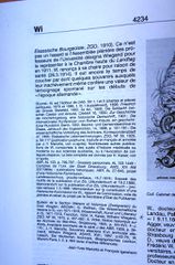 Notice de Jean-Yves Mariotte et François Igersheim, in NDBA n° 40, page 4234