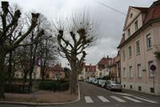 Rue d' Avolsheim Strasbourg 2150.jpg