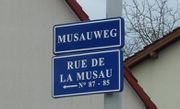 Rue de la Musau Strasbourg 10326.jpg