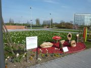 jardin des Droits de l'Homme