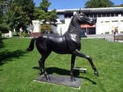 10) Jappeloup, cheval du cavalier français Pierre Durand